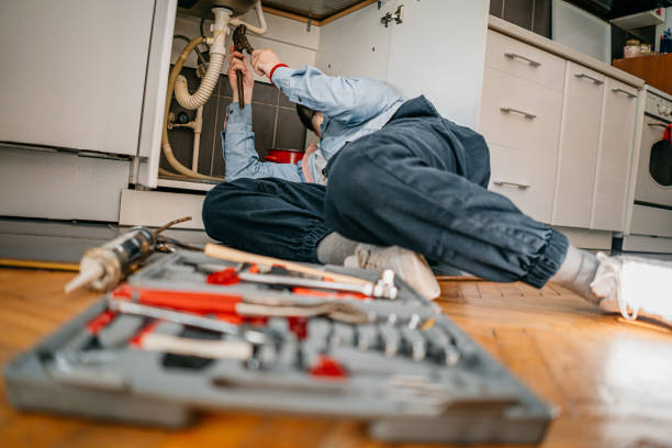Best Plumbing Inspection Services  in Fowlkes, TN